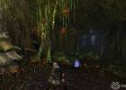 Dungeons & Dragons Online screenshot 3