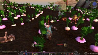 World of Warcraft exclusive screenshots Pandaria expansion (16) copia