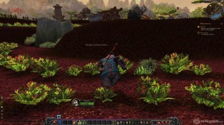 World of Warcraft exclusive screenshots Pandaria expansion (17) copia