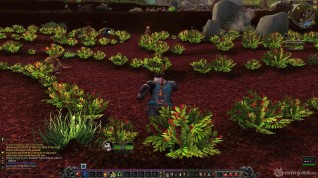 World of Warcraft exclusive screenshots Pandaria expansion (18) copia