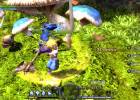 Dragon Nest screenshot 7