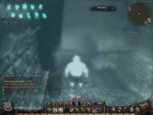 Wizardry review27 copia