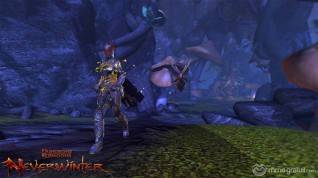 neverwinter_feywild_pack_071213_wm_02 copia