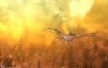 Dragon's Prophet Fantasy MMORPG screenshot 18092013 1 copia