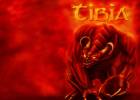 Tibia wallpaper 2