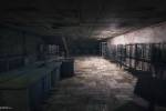Survarium shot (2) copia