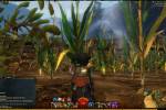 Guild Wars 2 screenshot (15) copia