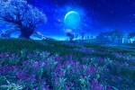 blade-soul-skypetal-plains-image-2-copia