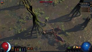 Path of Exile